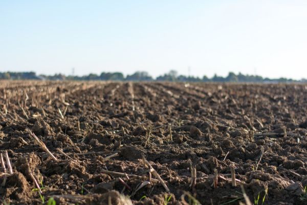 Soil Story Summer Camp
